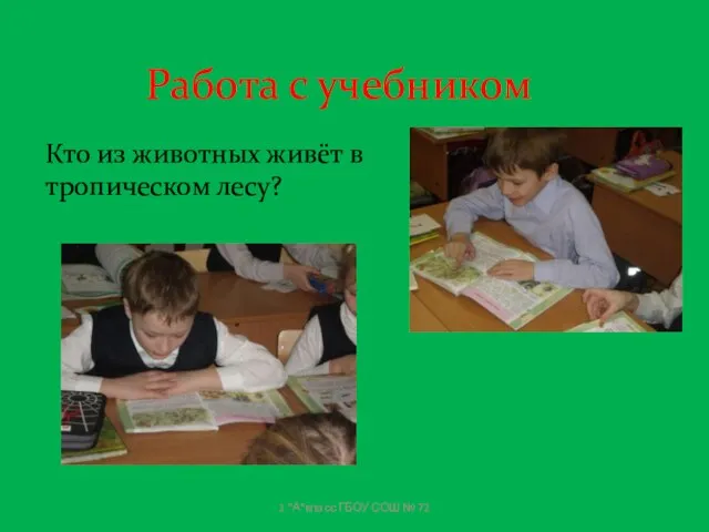 Работа с учебником Кто из животных живёт в тропическом лесу? 1 "А"класс ГБОУ СОШ № 72