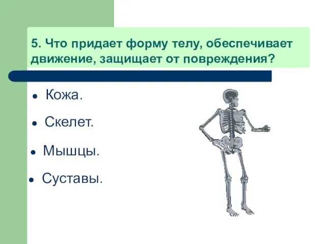 5. Что придает форму телу, обеспечивает движение, защищает от повреждения? Кожа. Скелет. Мышцы. Суставы.