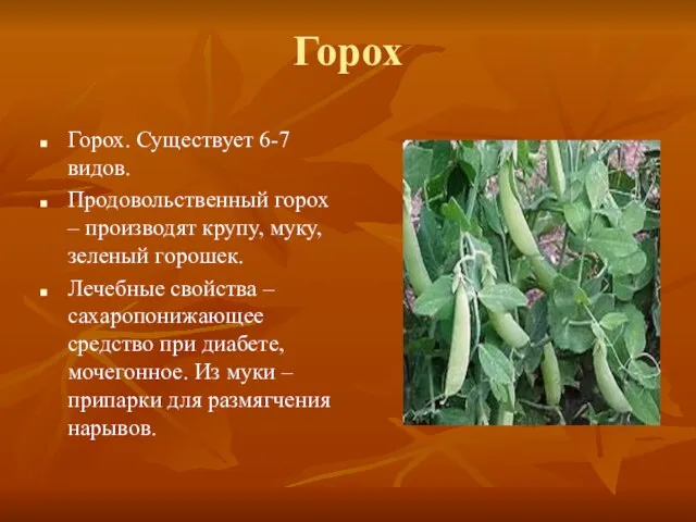 Горох Горох. Существует 6-7 видов. Продовольственный горох – производят крупу, муку, зеленый