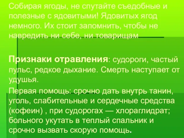 Собирая ягоды, не спутайте съедобные и полезные с ядовитыми! Ядовитых ягод немного.