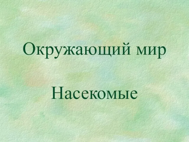 Презентация на тему Насекомые (1 класс)