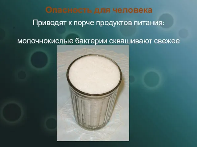 Опасность для человека Приводят к порче продуктов питания: молочнокислые бактерии сквашивают свежее молоко