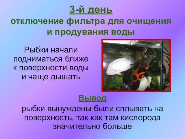 Рыбки начали подниматься ближе к поверхности воды и чаще дышать 3-й день