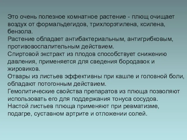 Это очень полезное комнатное растение - плющ очищает воздух от формальдегидов, трихлорэтилена,