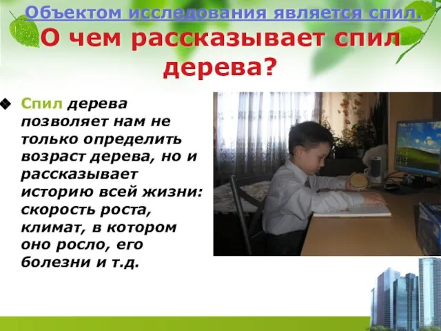 Объектом исследования является спил. О чем рассказывает спил дерева? Спил дерева позволяет