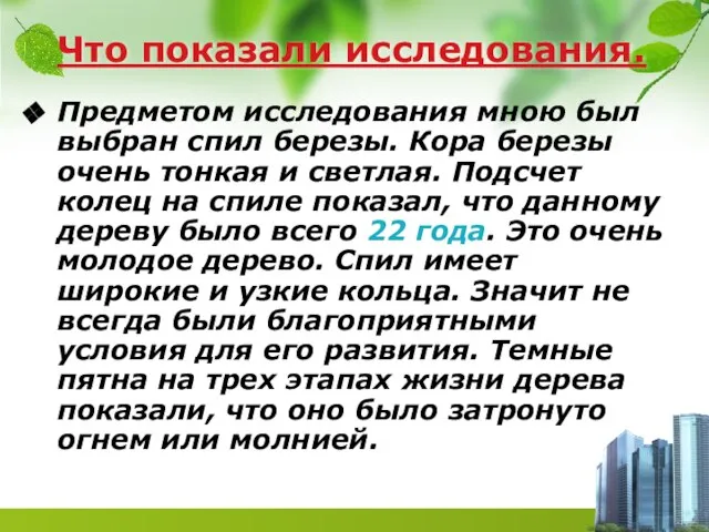 Что показали исследования. Предметом исследования мною был выбран спил березы. Кора березы