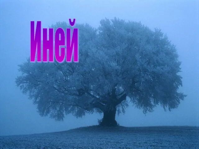 Иней