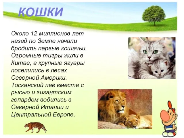 Около 12 миллионов лет назад по Земле начали бродить первые кошачьи. Огромные