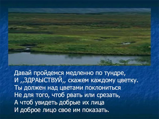 Давай пройдемся медленно по тундре, И ,,ЗДРАЫСТВУЙ,, скажем каждому цветку. Ты должен