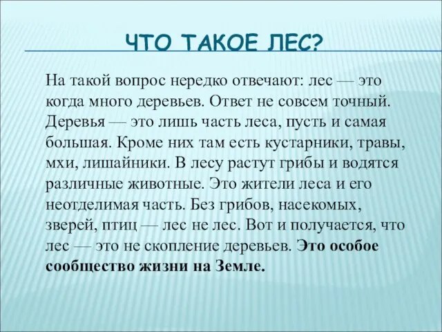 ЧТО ТАКОЕ ЛЕС? На такой вопрос нередко отвечают: лес — это когда