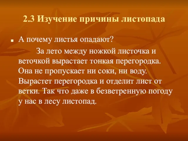 2.3 Изучение причины листопада А почему листья опадают? За лето между ножкой