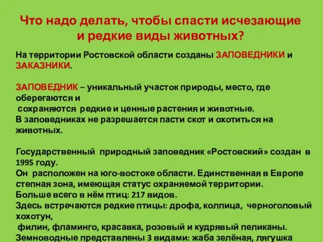 Что надо делать, чтобы спасти исчезающие и редкие виды животных? На территории