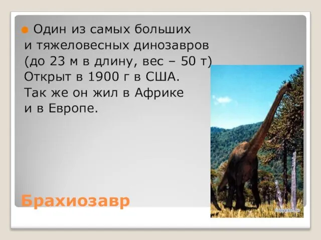 Брахиозавр Один из самых больших и тяжеловесных динозавров (до 23 м в