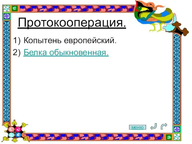 Протокооперация. Копытень европейский. Белка обыкновенная. меню