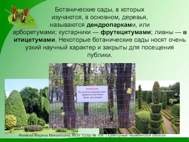 Ботанические сады, в которых изучаются, в основном, деревья, называются дендропарками, или арборетумами;