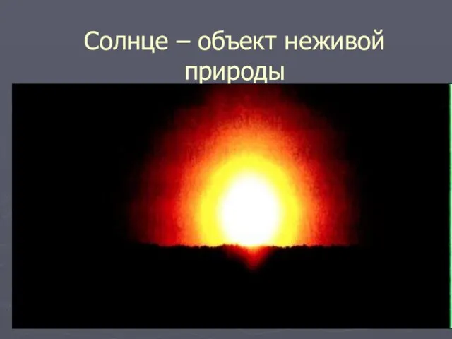 Солнце – объект неживой природы