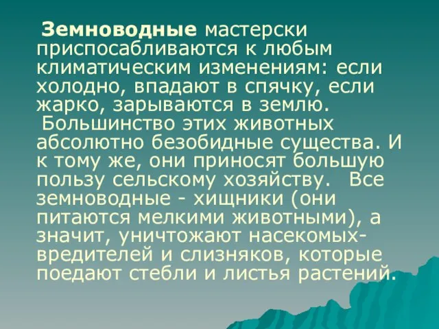 Земноводные мастерски приспосабливаются к любым климатическим изменениям: если холодно, впадают в спячку,