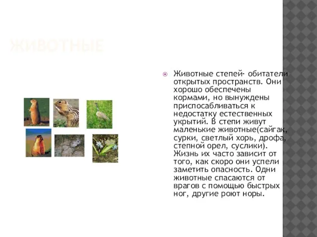 ЖИВОТНЫЕ Животные степей- обитатели открытых пространств. Они хорошо обеспечены кормами, но вынуждены
