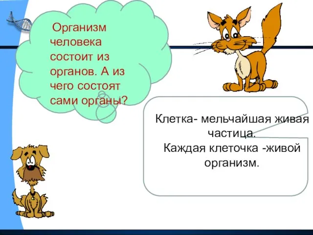 Организм человека состоит из органов. А из чего состоят сами органы? Клетка-