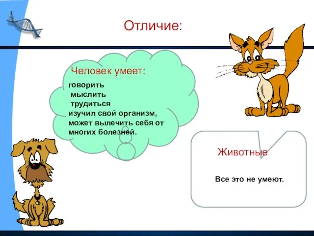 Отличие: Человек умеет: говорить мыслить трудиться изучил свой организм, может вылечить себя