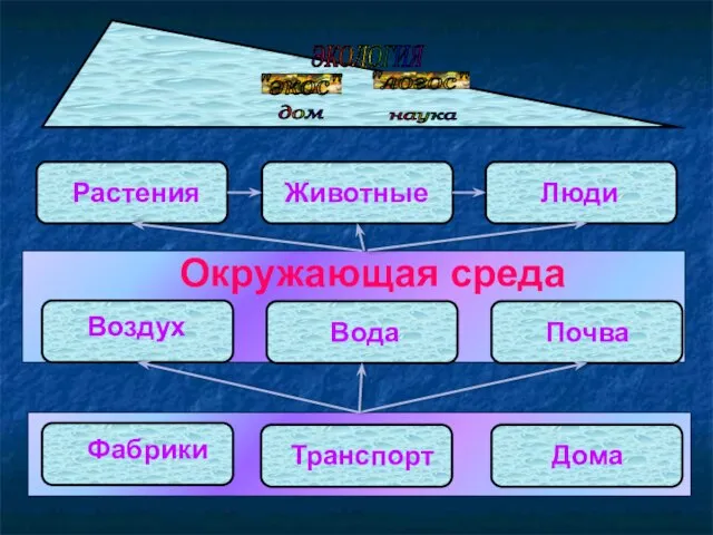 ЭКОЛОГИЯ "экос" "логос" дом наука Растения Животные Люди Воздух Вода Почва Фабрики Транспорт Дома Окружающая среда