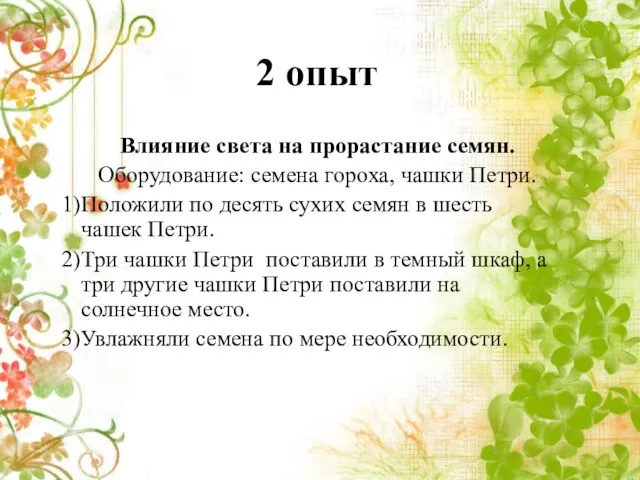 2 опыт Влияние света на прорастание семян. Оборудование: семена гороха, чашки Петри.