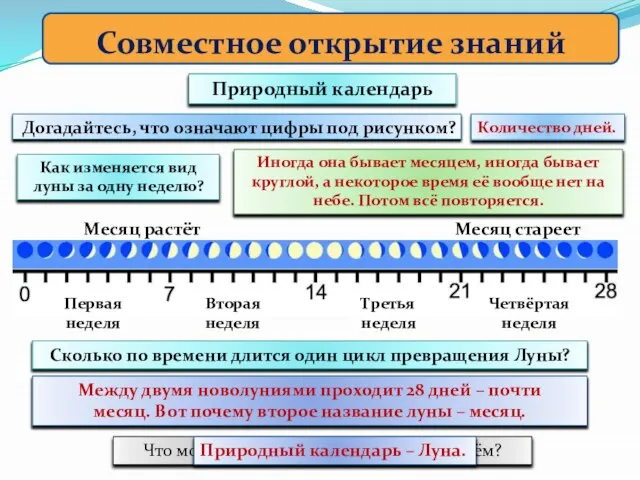 Догадайтесь, что означают цифры под рисунком? Совместное открытие знаний Природный календарь Месяц