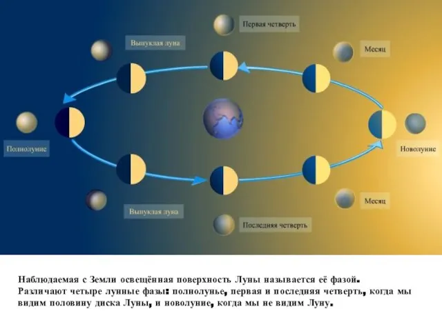 Наблюдаемая с Земли освещённая поверхность Луны называется её фазой. Различают четыре лунные