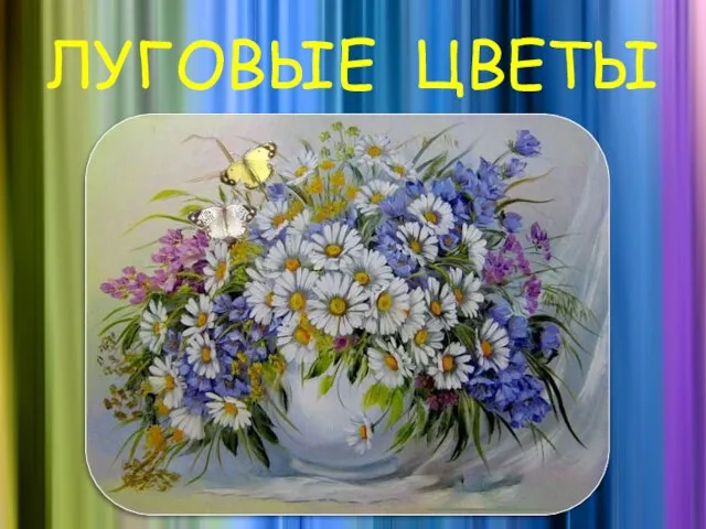 ЛУГОВЫЕ ЦВЕТЫ