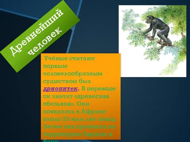 Древнейший человек Учёные считают первым человекообразным существом был дриопитек. В переводе он