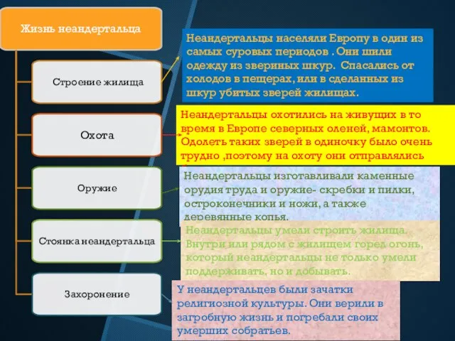 Неандертальцы населяли Европу в один из самых суровых периодов . Они шили