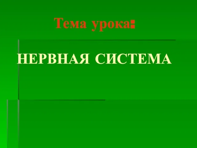 Презентация на тему Нервная система человека (4 класс)