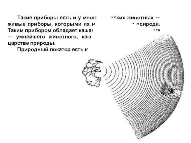 Такие приборы есть и у многих морских животных — живые приборы, которыми