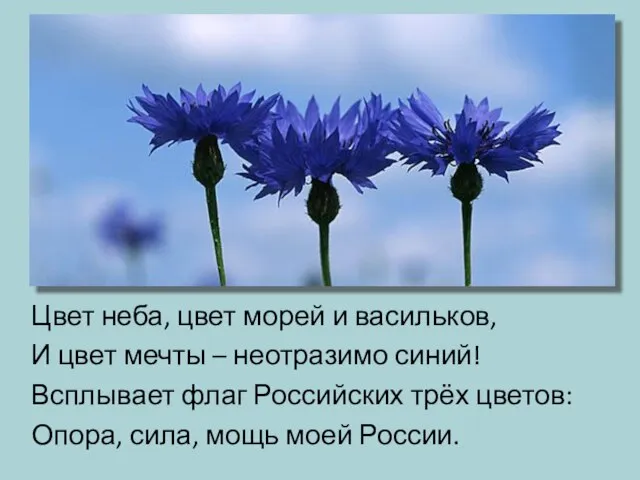 Цвет неба, цвет морей и васильков, И цвет мечты – неотразимо синий!