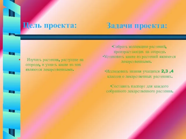 Цель проекта: Изучить растения, растущие на огороде, и узнать какие из них