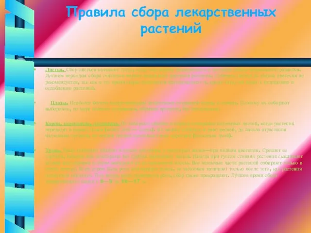 Правила сбора лекарственных растений Листья. Сбор листьев начинают тогда, когда они вполне