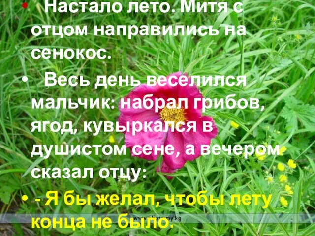 Настало лето. Митя с отцом направились на сенокос. Весь день веселился мальчик: