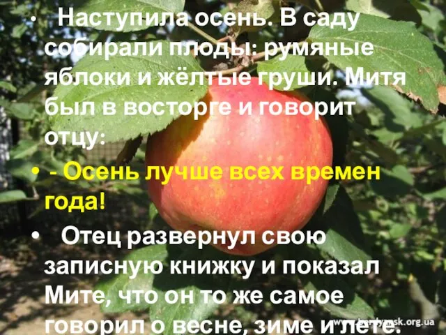 Наступила осень. В саду собирали плоды: румяные яблоки и жёлтые груши. Митя