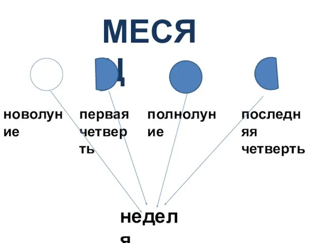 МЕСЯЦ неделя новолуние первая четверть полнолуние последняя четверть