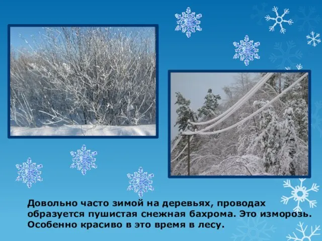 Довольно часто зимой на деревьях, проводах образуется пушистая снежная бахрома. Это изморозь.