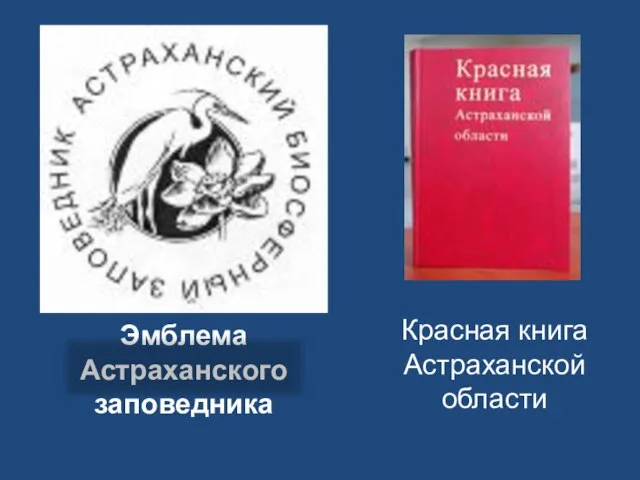 Эмблема Астраханского заповедника Красная книга Астраханской области