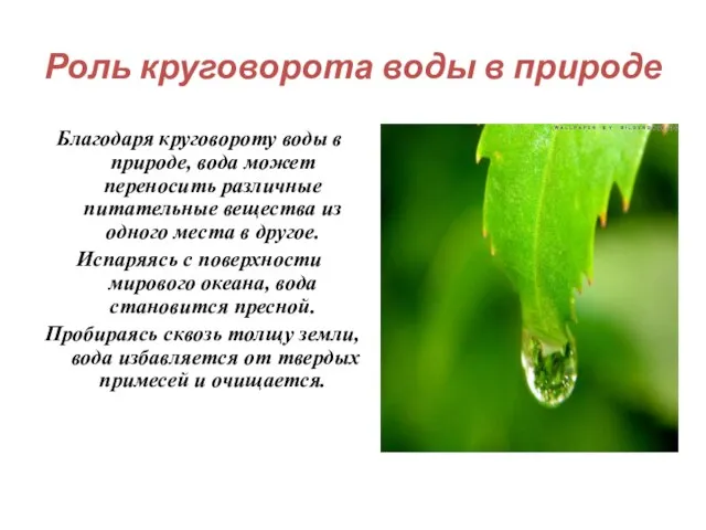 Роль круговорота воды в природе Благодаря круговороту воды в природе, вода может