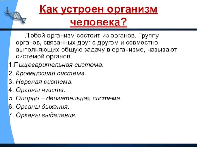 Как устроен организм человека? Любой организм состоит из органов. Группу органов, связанных