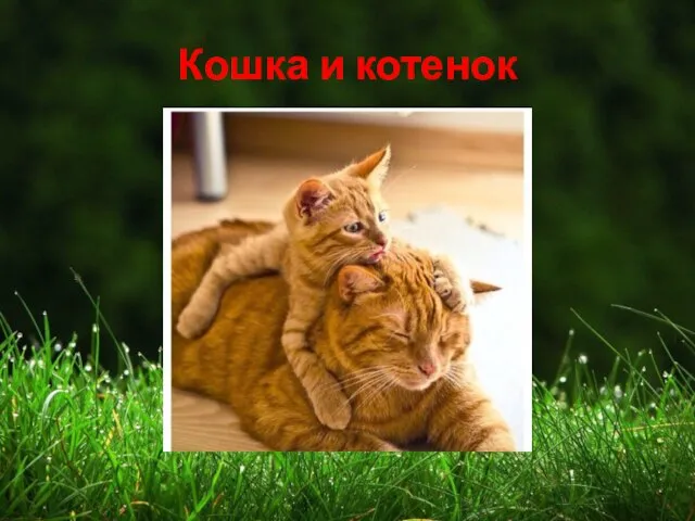 Кошка и котенок