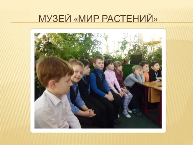 Музей «мир растений»