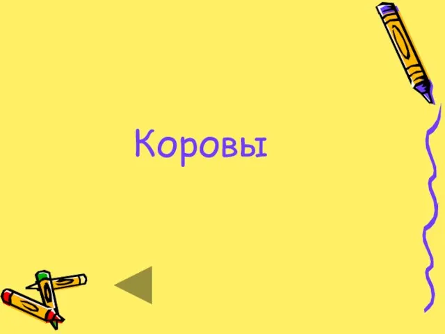 Коровы