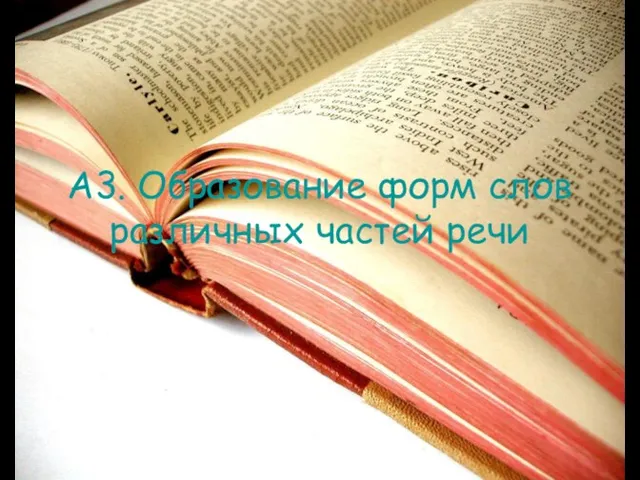 А3. Образование форм слов различных частей речи