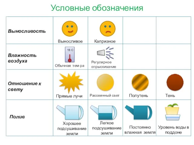 Условные обозначения Влажность воздуха Отношение к свету Выносливость Полив Выносливое Капризное Обычная