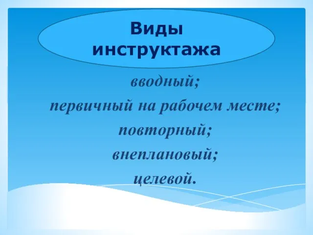 Виды инструктажа вводный; первичный на рабочем месте; повторный; внеплановый; целевой. Виды инструктажа