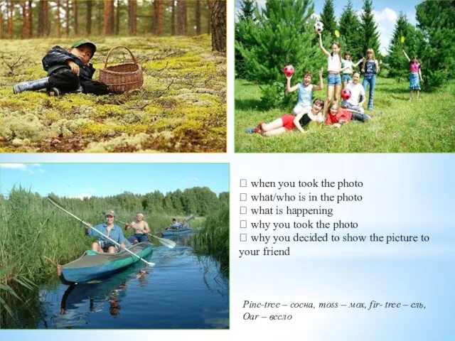 Pine-tree – сосна, moss – мох, fir- tree – ель, Oar –